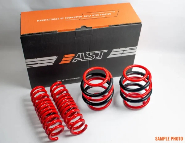 AST 03/2013-04/2017 Ford FISTA Lowering Springs - 30mm/30mm