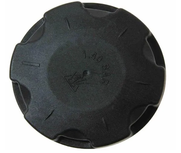BMW F30 3-Series Expansion Tank Cap 17117639020